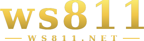 ws811 logo